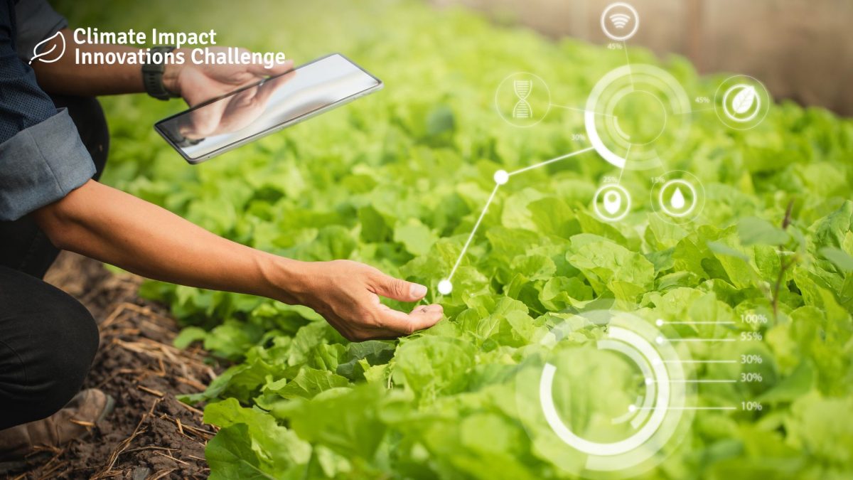 A Climate-Smart Platform for Sustainable Agriculture in Indonesia’s Peatlands
