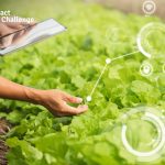 A Climate-Smart Platform for Sustainable Agriculture in Indonesia’s Peatlands