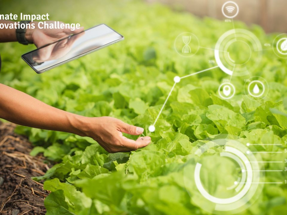 A Climate-Smart Platform for Sustainable Agriculture in Indonesia’s Peatlands
