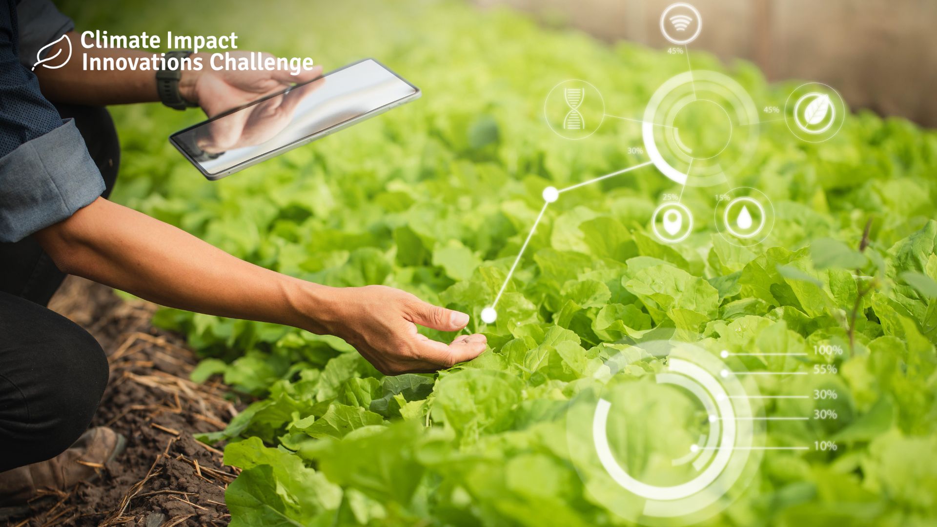 A Climate-Smart Platform for Sustainable Agriculture in Indonesia’s Peatlands