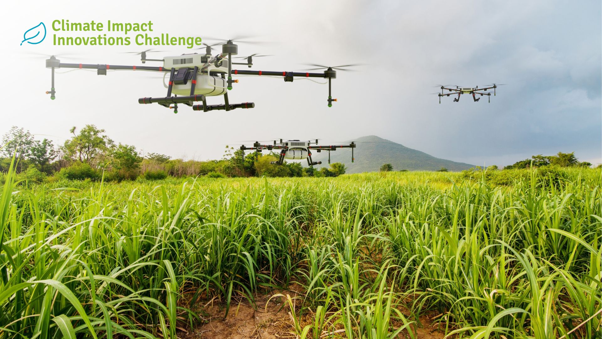 Affordable Food for the Price of Our Planet