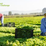 A Sustainable Agriculture Framework to Counter Youth Outmigration
