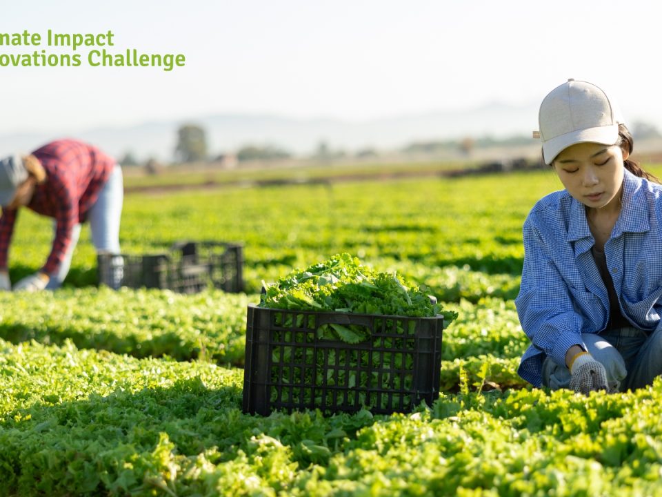 A Sustainable Agriculture Framework to Counter Youth Outmigration